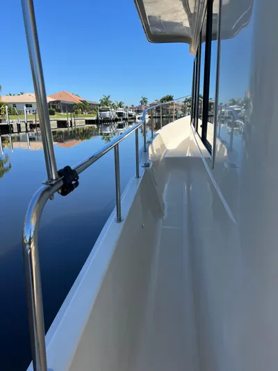 Nauti Dog Yacht Photos Pics 