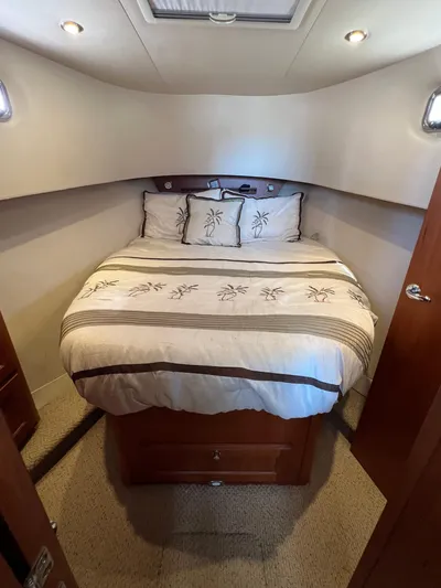 Nauti Dog Yacht Photos Pics 