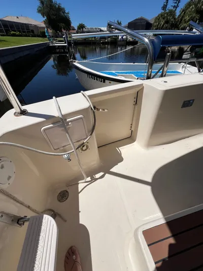 Nauti Dog Yacht Photos Pics 