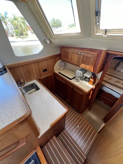 Nauti Dog Yacht Photos Pics 