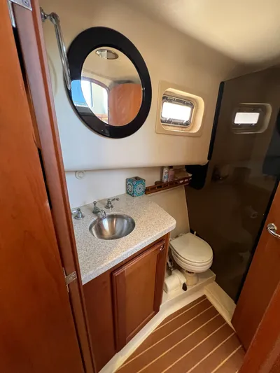 Nauti Dog Yacht Photos Pics 