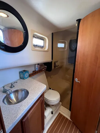 Nauti Dog Yacht Photos Pics 