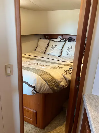 Nauti Dog Yacht Photos Pics 