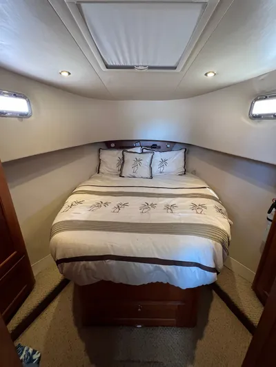 Nauti Dog Yacht Photos Pics 