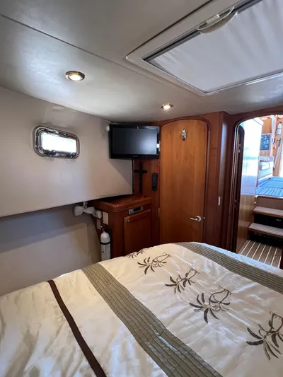 Nauti Dog Yacht Photos Pics 