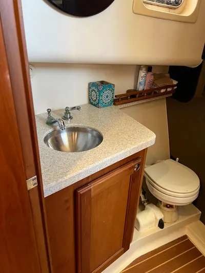 Nauti Dog Yacht Photos Pics 