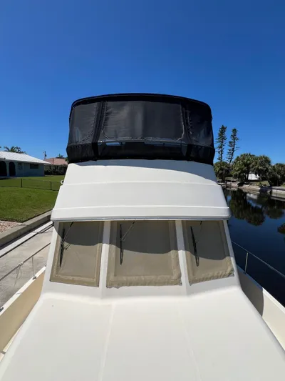 Nauti Dog Yacht Photos Pics 