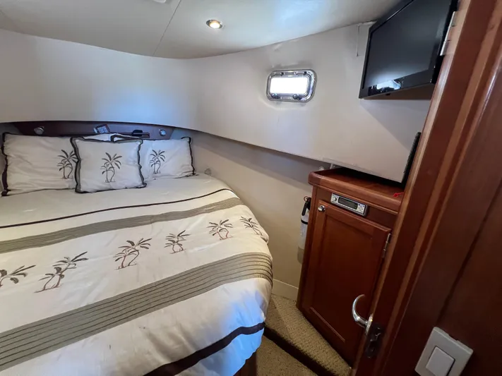 Nauti Dog Yacht Photos Pics 