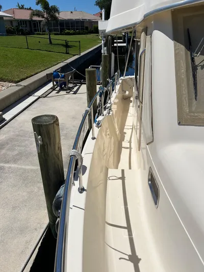 Nauti Dog Yacht Photos Pics 