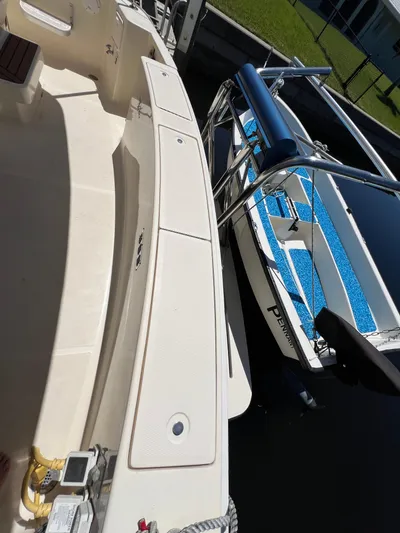 Nauti Dog Yacht Photos Pics 