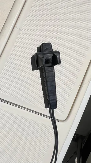 Nauti Dog Yacht Photos Pics 