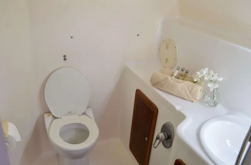 Chef De Mere Yacht Photos Pics Bathroom interior of 2006 Royal Cape Catamarans 50, featuring toilet and sink.
