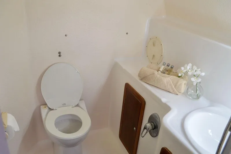 Chef De Mere Yacht Photos Pics Bathroom interior of 2006 Royal Cape Catamarans 50, featuring toilet and sink.