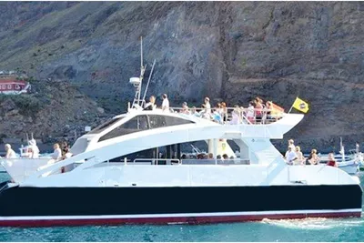 2013 DALMAU catamaran pnasaje para 80 pasajeros