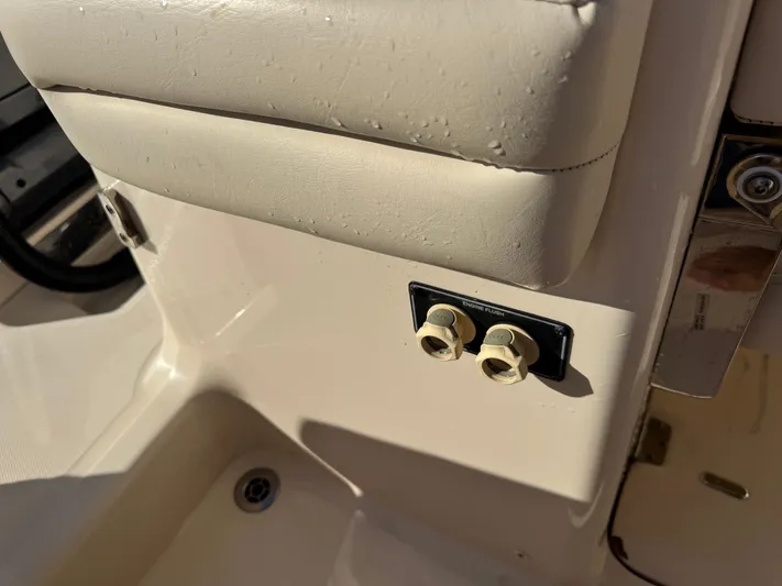 Bugs And Brew Yacht Photos Pics 