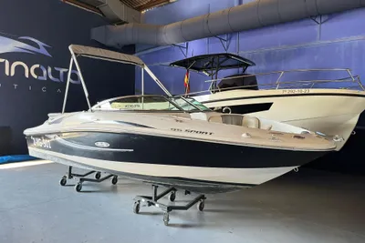 2011 Sea Ray 195 Sport