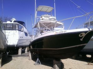 1981 Blackfin Combi 33