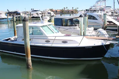 Back Cove 29