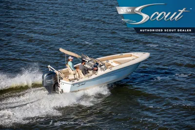 Scout 195 Sport Dorado