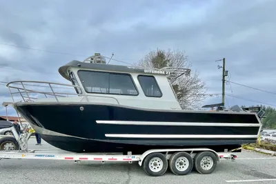 Custom Pioneer Bluefin 270