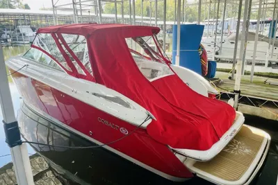 Cobalt 323