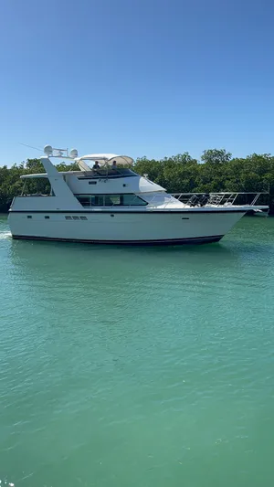 Oasis Yacht Photos Pics 