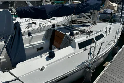 Catalina 320