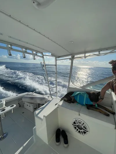  Yacht Photos Pics 2001 Cabo 35 Express boat cruising with dog in life jacket on deck.