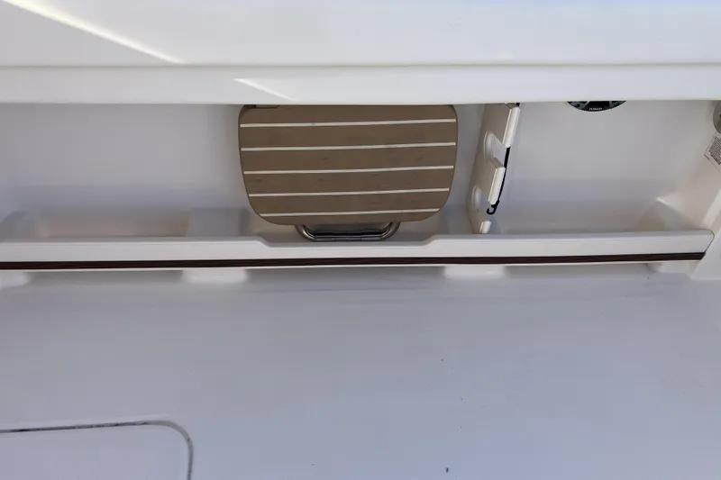  Yacht Photos Pics 2019 Grady-White Freedom 307 boat interior detail with storage compartment.