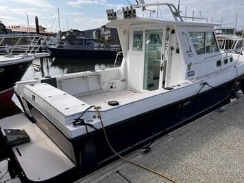 Albin 28 Tournament Express