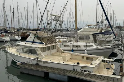 1981 Bertram 31 Flybridge Cruiser