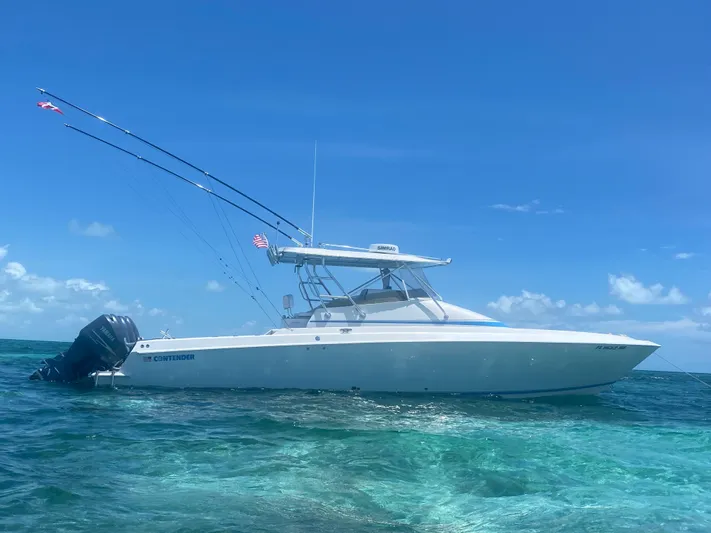  Yacht Photos Pics 