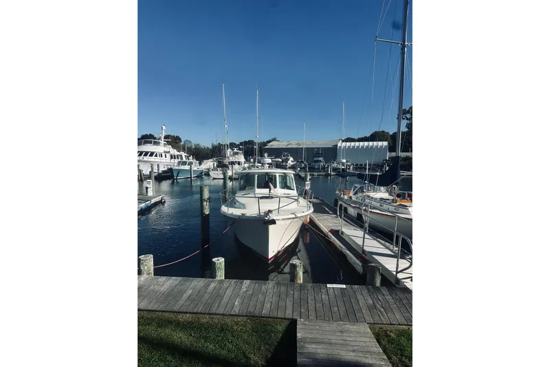 2021 Back Cove 37 Yacht Photos Pics 2021 Back Cove 37 yacht docked at a marina under clear blue skies.