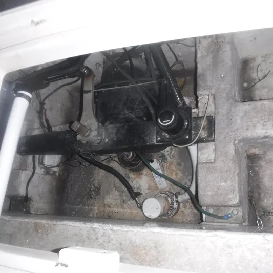 Ping Yacht Photos Pics 