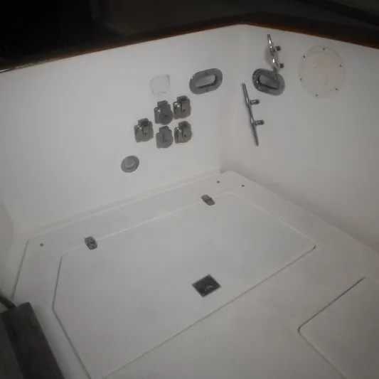 Ping Yacht Photos Pics 