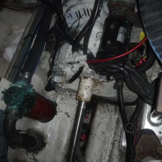 Ping Yacht Photos Pics 