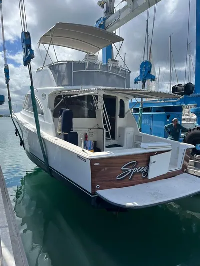 Speedy Banana Yacht Photos Pics 