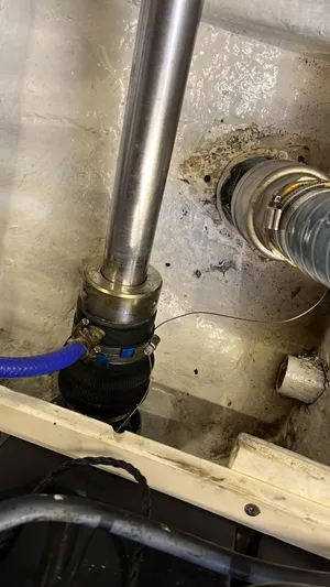 Speedy Banana Yacht Photos Pics 