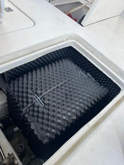 Speedy Banana Yacht Photos Pics 