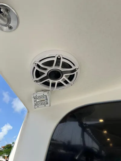 Speedy Banana Yacht Photos Pics 