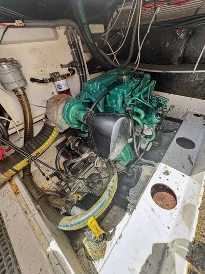 Knot Stupid Yacht Photos Pics 