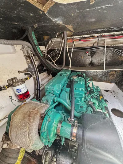 Knot Stupid Yacht Photos Pics 