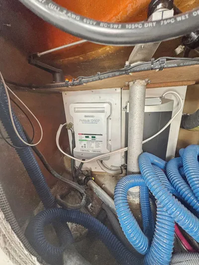 Knot Stupid Yacht Photos Pics 