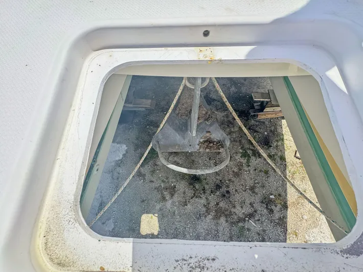 Knot Stupid Yacht Photos Pics 