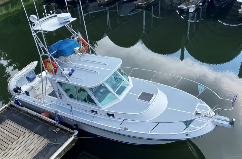 Morning Star V Yacht Photos Pics 1997 Albin 31 Tournament boat docked, aerial view, calm water reflection.
