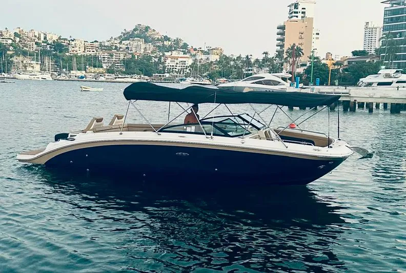 2019 Sea Ray 290 Sdx @ Acapulco Yacht Photos Pics 