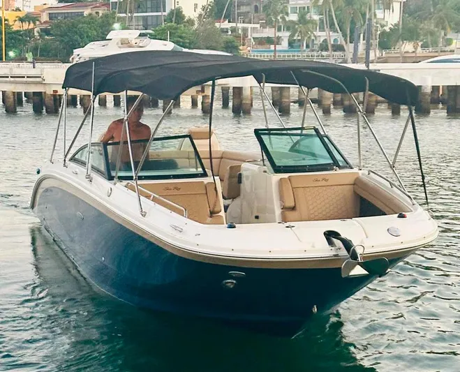 2019 Sea Ray 290 Sdx @ Acapulco Yacht Photos Pics 