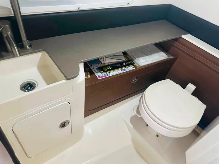 2019 Sea Ray 290 Sdx @ Acapulco Yacht Photos Pics 