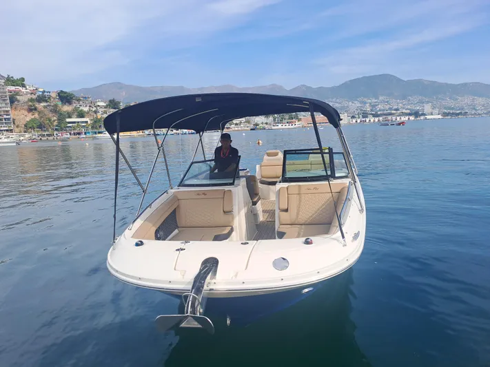 2019 Sea Ray 290 Sdx @ Acapulco Yacht Photos Pics 