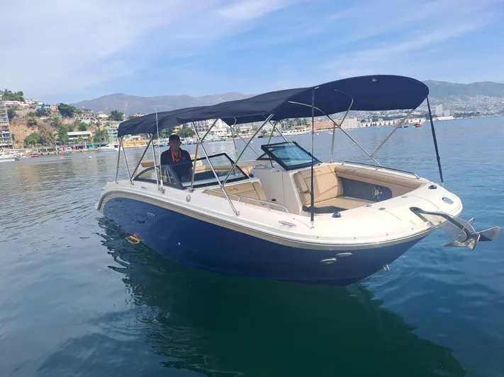2019 Sea Ray 290 Sdx @ Acapulco Yacht Photos Pics 